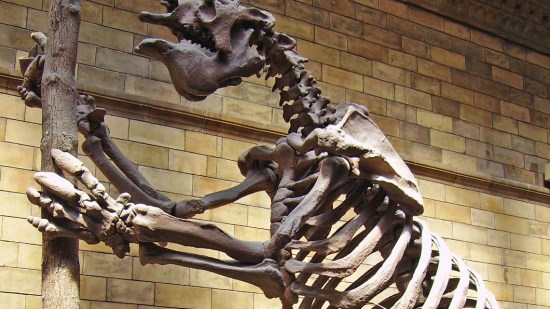 Megafauna pleistoceno