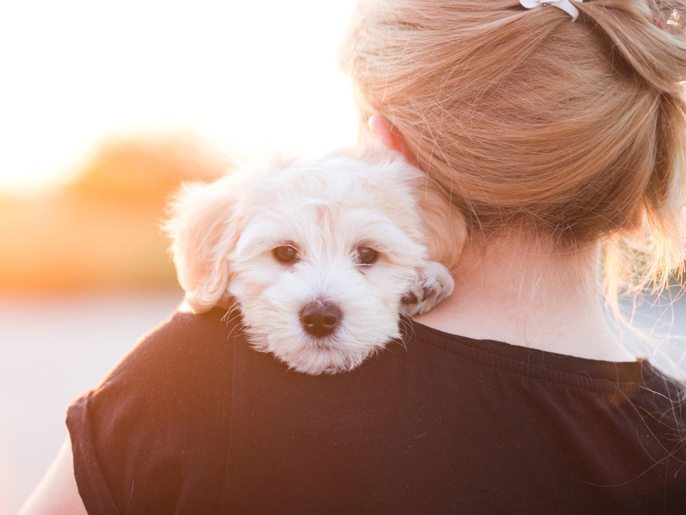 Mujer con un perro blanco en brazos