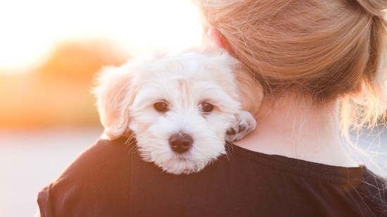 Mujer con un perro blanco en brazos