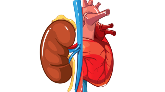 Por Macrovector recuperada de freepik.com