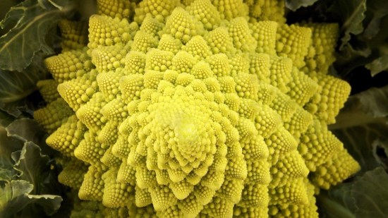 Romanesco