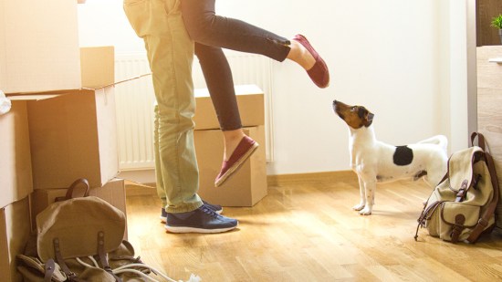 Mudanza con mascotas