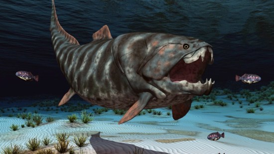 ‘Dunkleosteus’