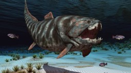 ‘Dunkleosteus’
