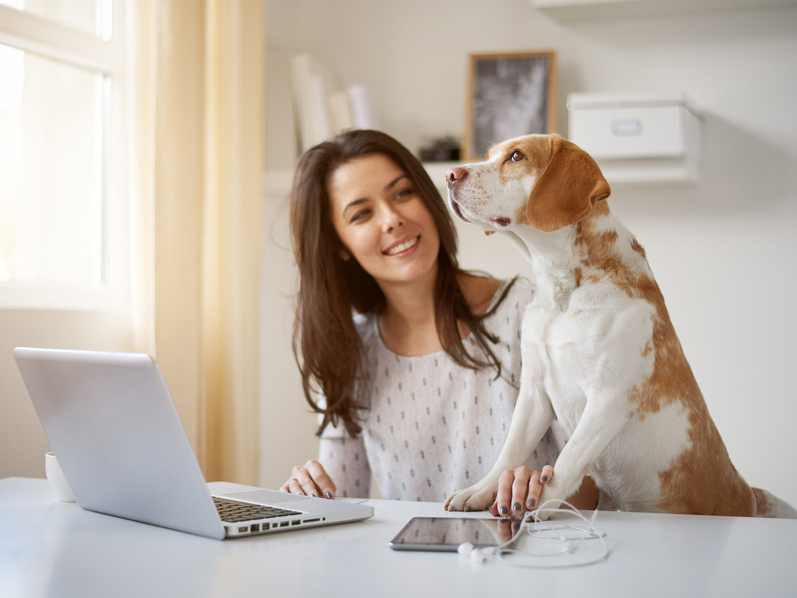 Mujer con perro y ordenador