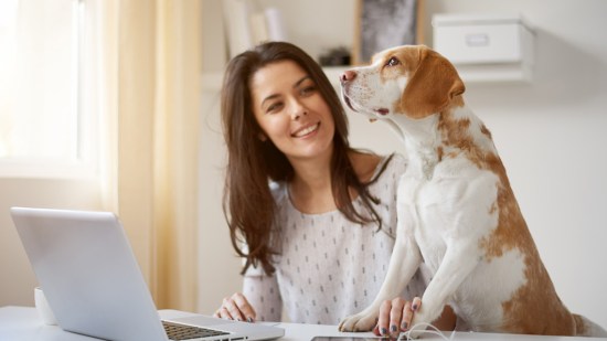 Mujer con perro y ordenador