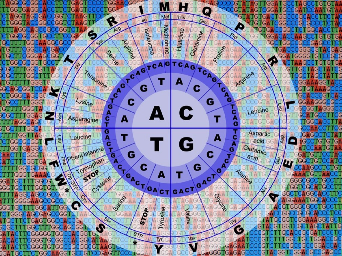 Secuencia código genético
