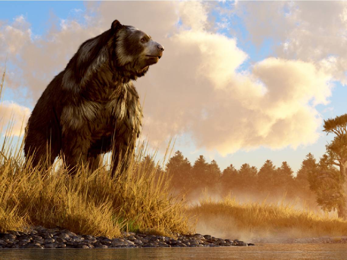 Por qué los mamíferos dominaron la Tierra