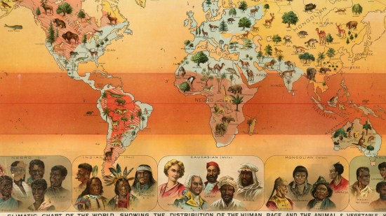 Razas humanas