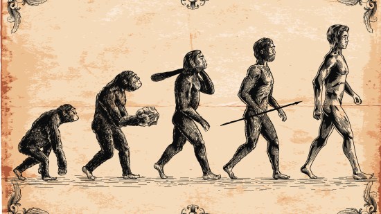 Evolución humana