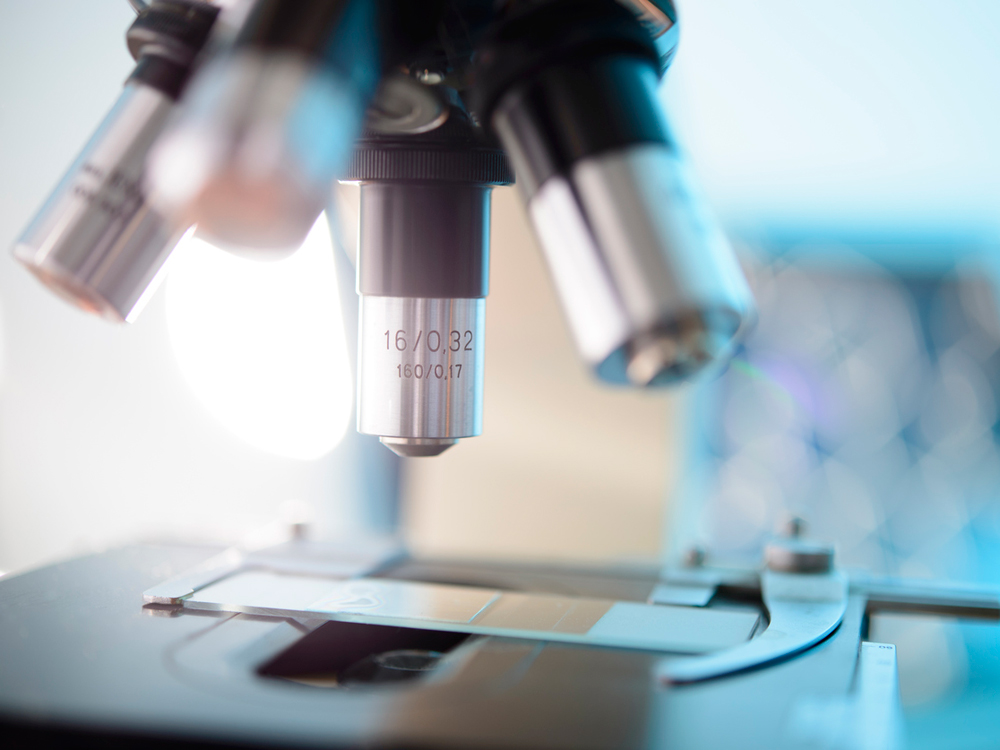 microscopio
