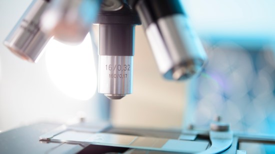 microscopio