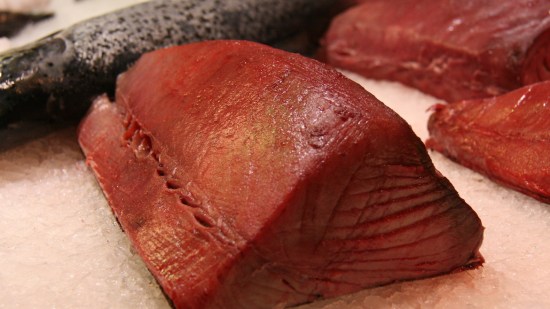 atun rojo