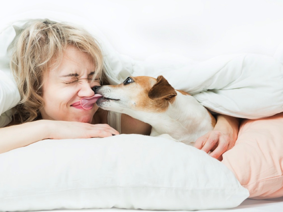 5 animales que se besan