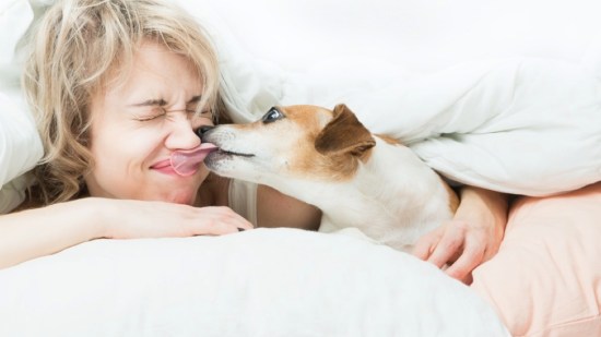 5 animales que se besan