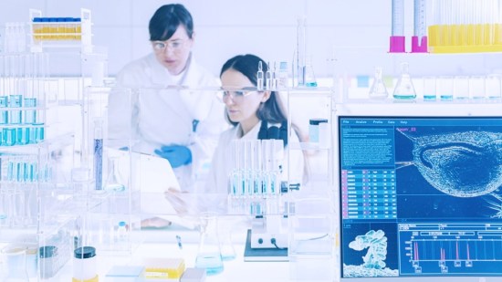 Animales de laboratorio