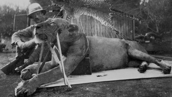 Resuelto el misterio de los leones que devoraron a 35 hombres