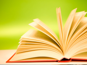 ¿Qué significa la palabra "verso"?