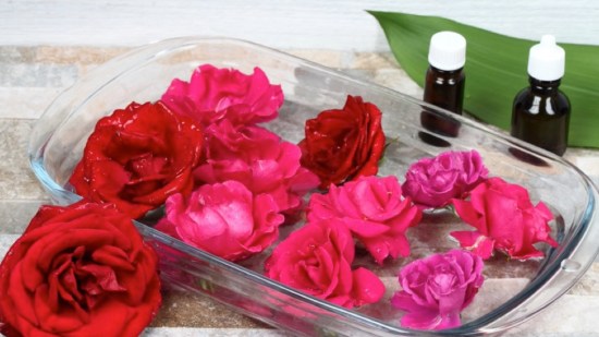 Preparando remedio de flores de Bach con rosas