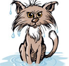 ¿Cuál es el origen de la expresión "llevarse el gato al agua"?