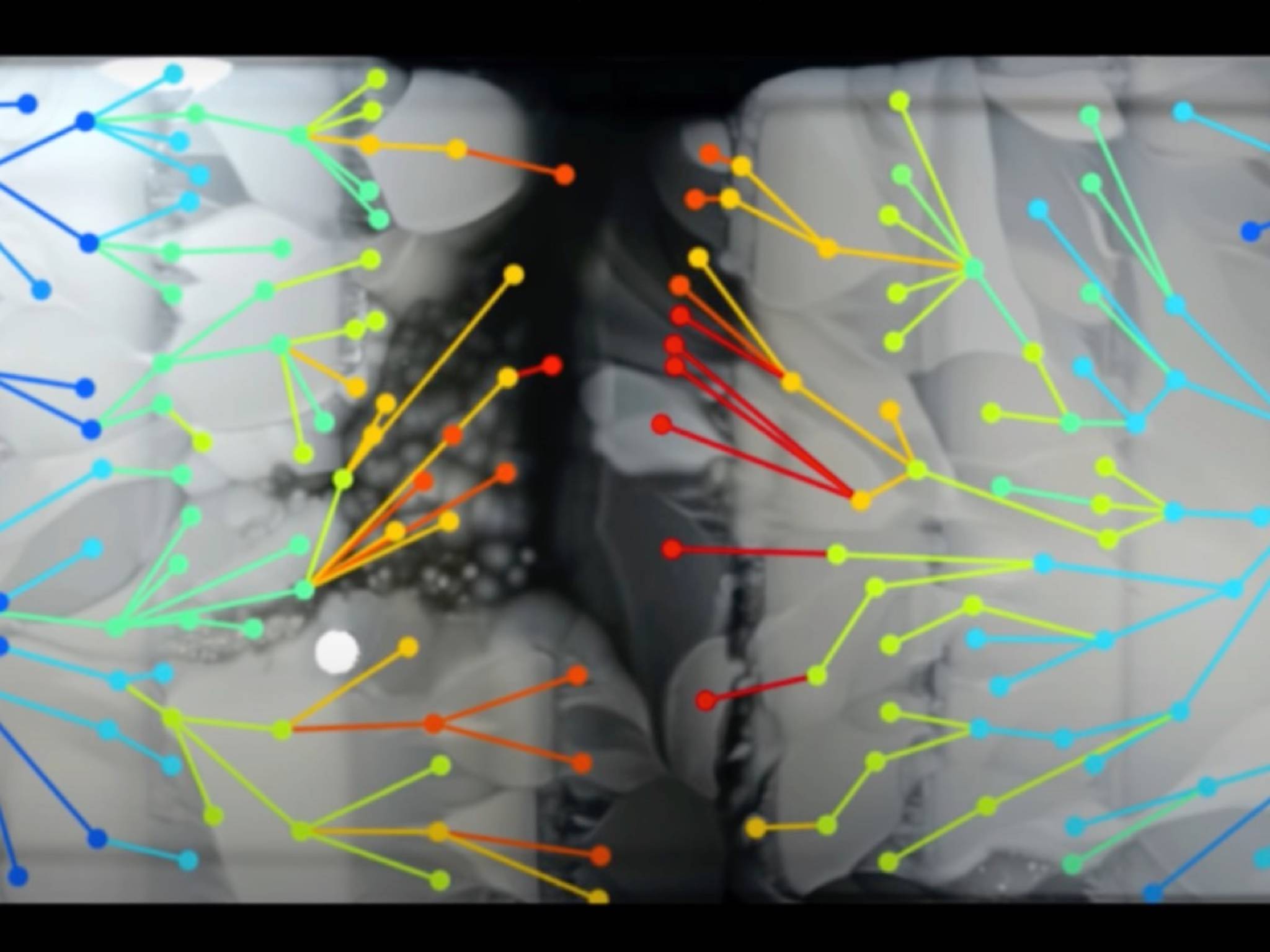 Evolución de bacterias