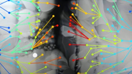 Evolución de bacterias