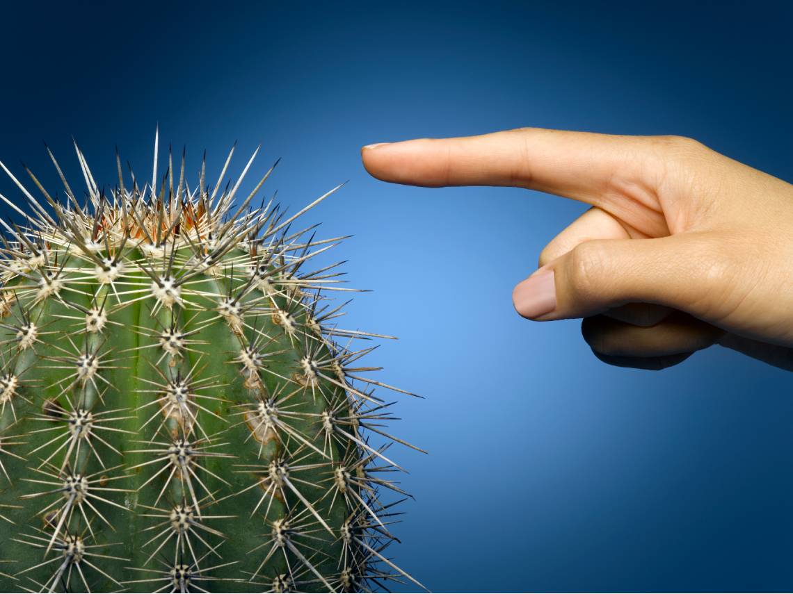 Pinchándose con un cactus
