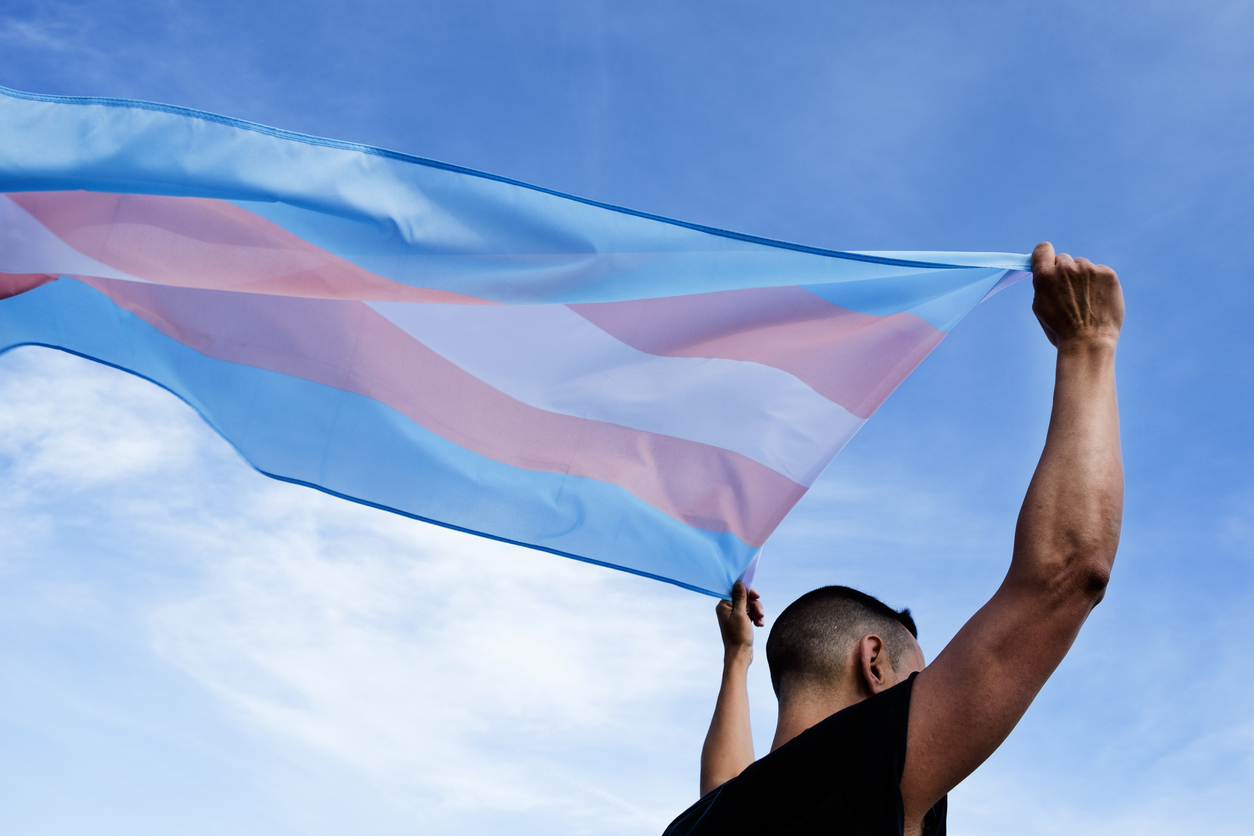 bandera del orgullo trans