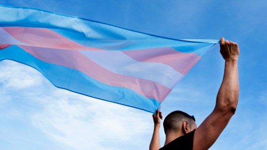 bandera del orgullo trans