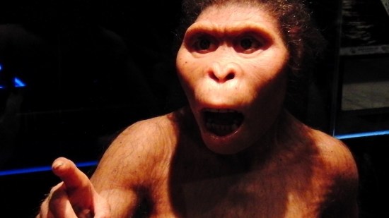 El extraño hueso de Lucy