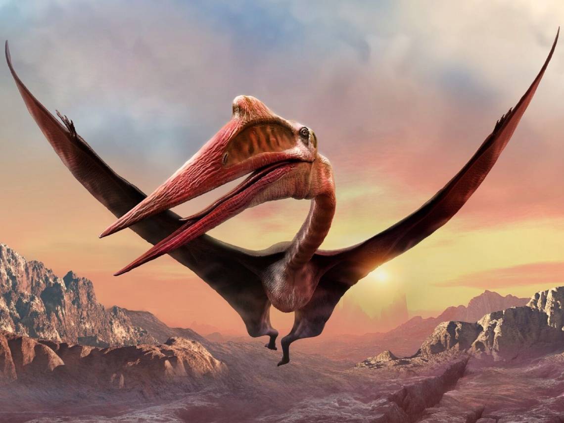 Quetzalcoatlus