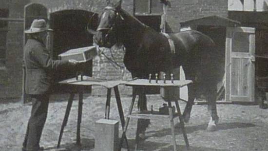 Hans, el caballo, el sabio haciendo una prueba