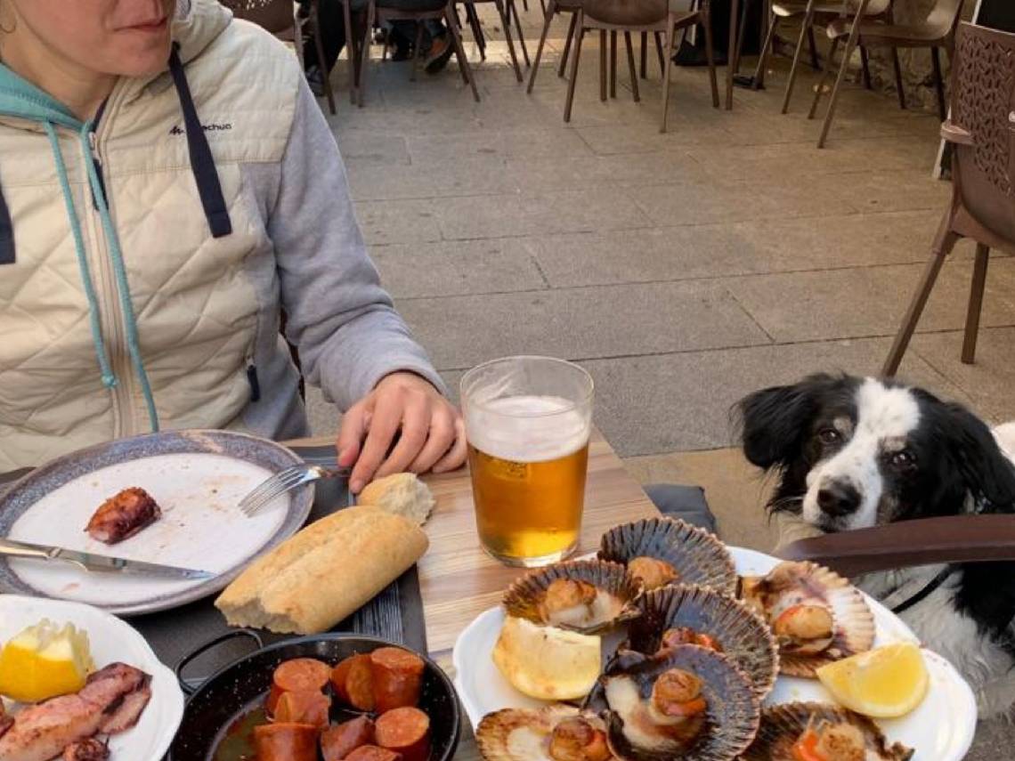Perro en una terraza