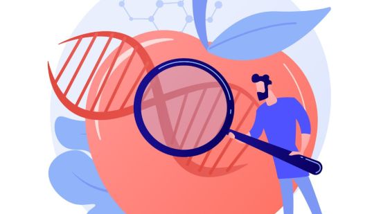 Alimentos genéticamente modificados (Ilustrado por: vectorjuice; freepik.com)