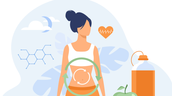 El proceso metabólico (Ilustrado por: pch.vector; freepik.com)