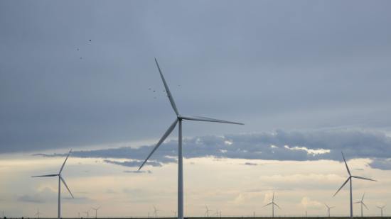 Así es como los científicos protegen a las aves de las peligrosas aspas de los parques eólicos
