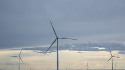 Así es como los científicos protegen a las aves de las peligrosas aspas de los parques eólicos