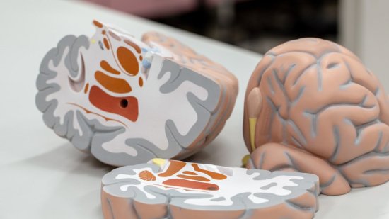 Qué es exactamente la materia gris