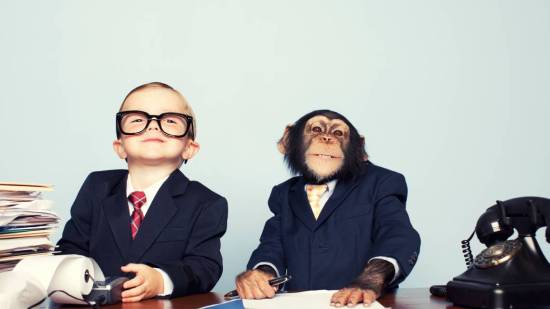 Niño y chimpancé disfrazados de oficinistas