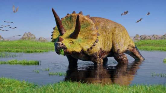 Dibujo de un Triceratops