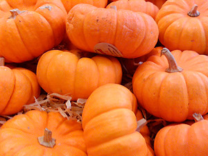 ¿De dónde viene la expresión "dar calabazas"?