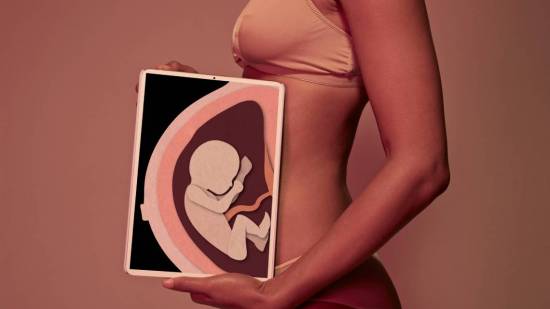 Infografía. Mujer embarazada, feto como radiografía