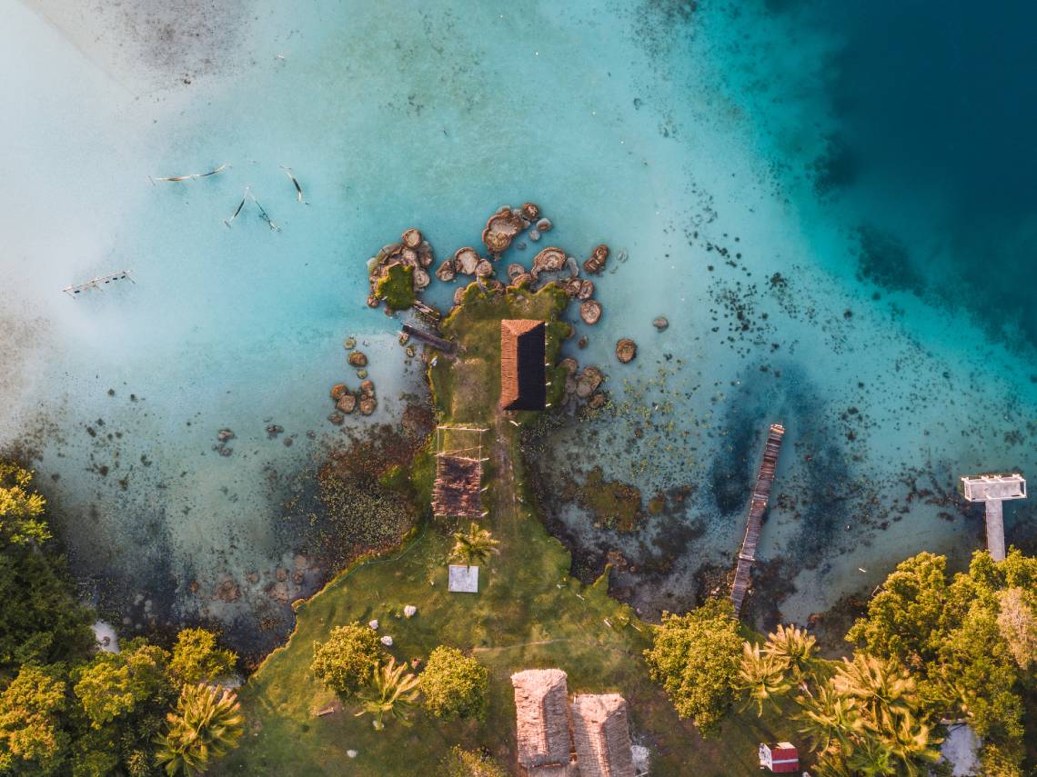 Formas de vida antigua