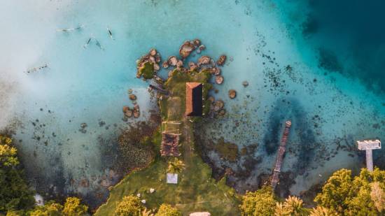 Formas de vida antigua