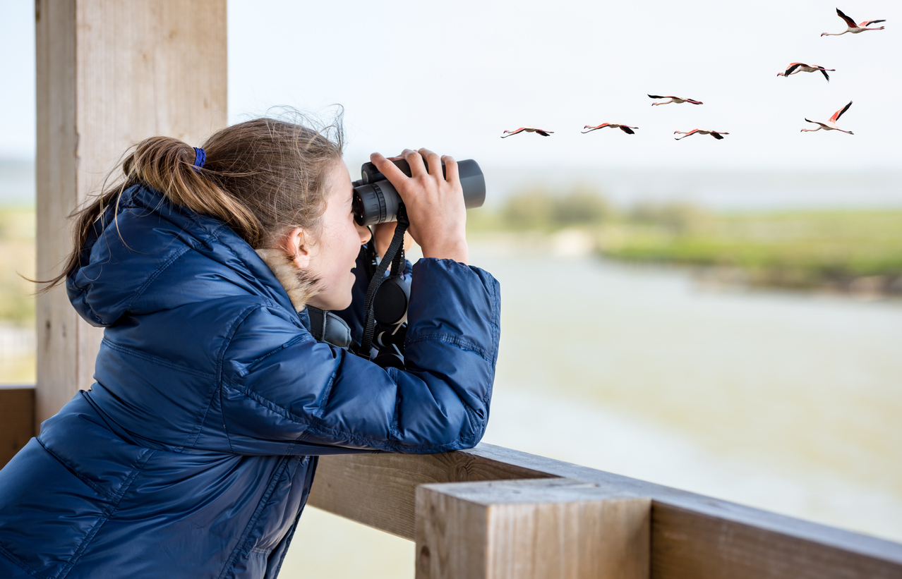 niña observando aves