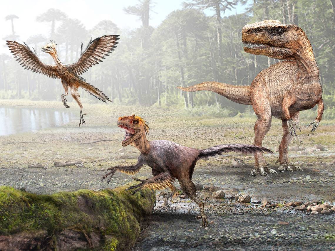 Montaje, aves y dinosaurios. Ilustración