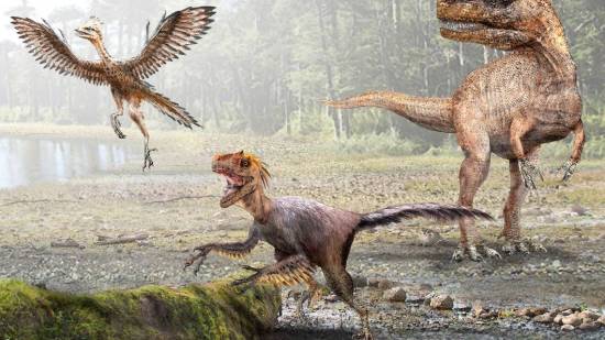 Montaje, aves y dinosaurios. Ilustración