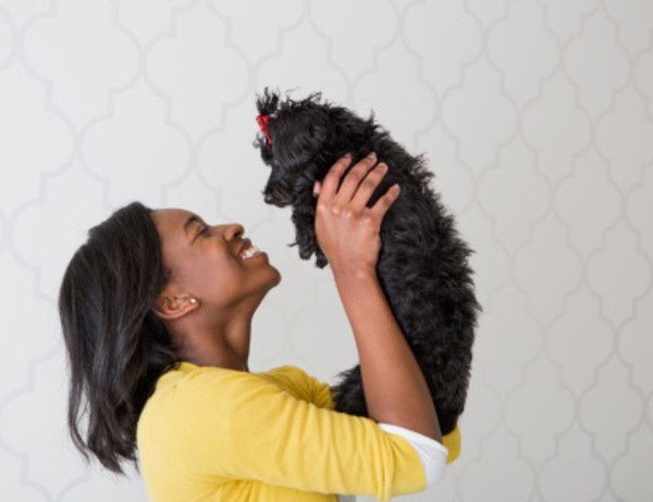 El vínculo entre un perro y su dueño es similar al de una madre con su hijo