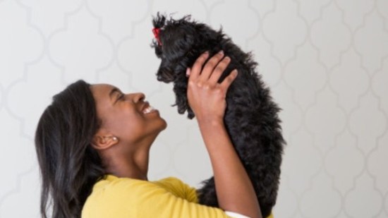 El vínculo entre un perro y su dueño es similar al de una madre con su hijo