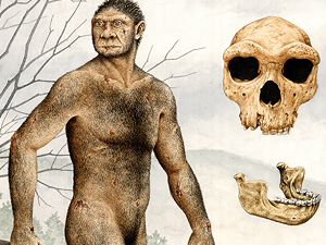 ¿Eran más altos los Homo heidelbergensis o los neandertales?